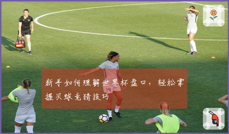 新手如何理解世界杯盘口，轻松掌握买球竞猜技巧