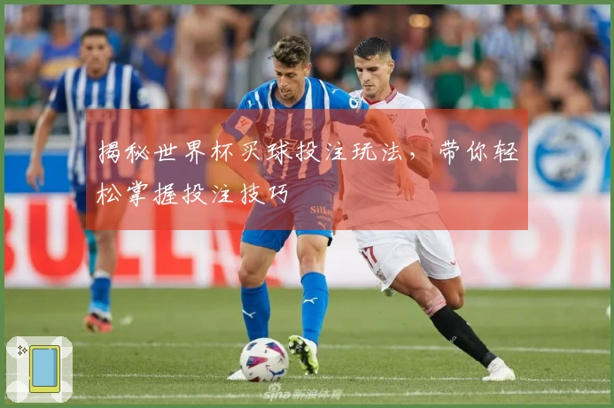 揭秘世界杯买球投注玩法，带你轻松掌握投注技巧