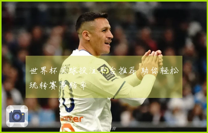 世界杯买球投注平台推荐 助你轻松玩转赛事赔率
