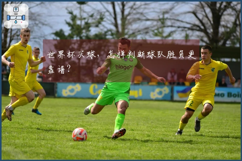 世界杯买球，怎样判断球队胜负更靠谱？